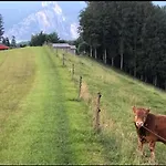Holiday home Am Traunsee Mit Bergsicht