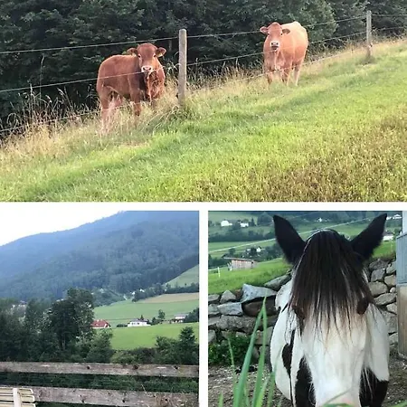 بيت للعطل Am Traunsee Mit Bergsicht *