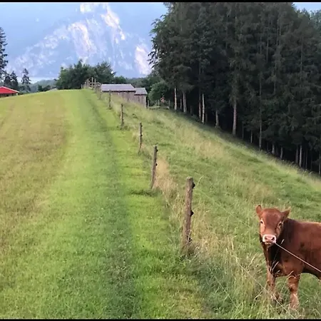 Semesterbostad Am Traunsee Mit Bergsicht