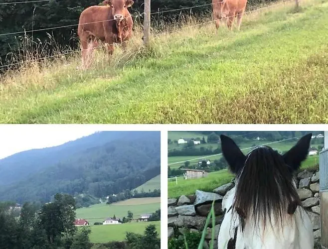 Σπίτι διακοπών Am Traunsee Mit Bergsicht *