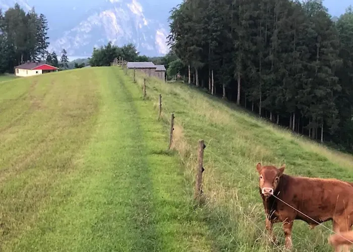 Feriehus Am Traunsee Mit Bergsicht