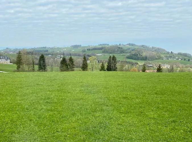 Σπίτι διακοπών Am Traunsee Mit Bergsicht *