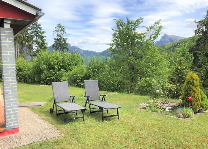 Am Traunsee Mit Bergsicht